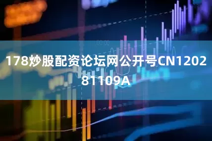 178炒股配资论坛网公开号CN120281109A