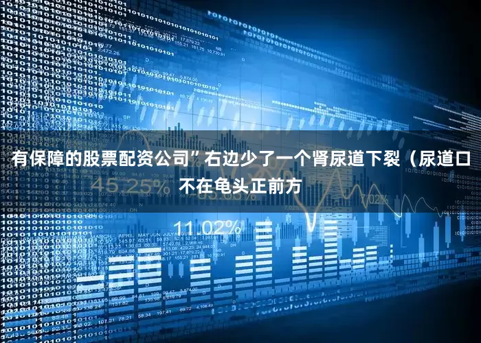 有保障的股票配资公司”右边少了一个肾尿道下裂（尿道口不在龟头正前方