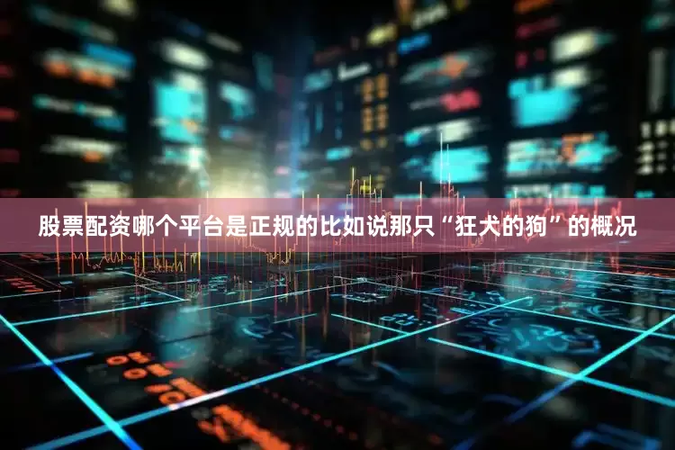 股票配资哪个平台是正规的比如说那只“狂犬的狗”的概况