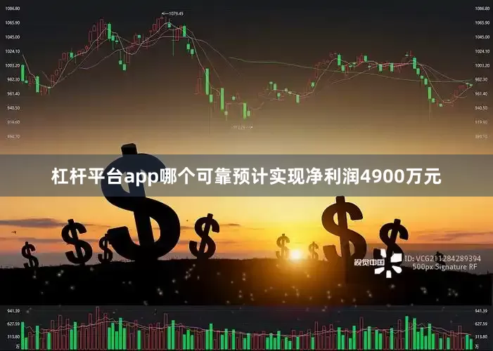 杠杆平台app哪个可靠预计实现净利润4900万元