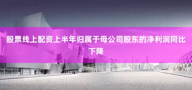 股票线上配资上半年归属于母公司股东的净利润同比下降