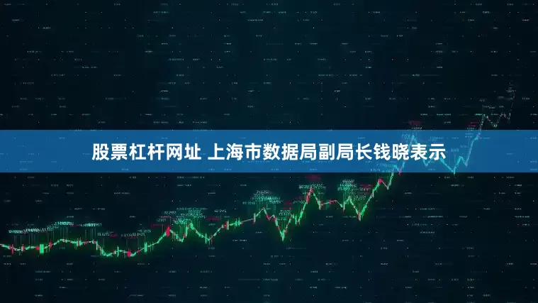 股票杠杆网址 上海市数据局副局长钱晓表示