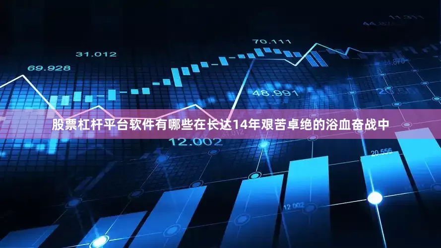 股票杠杆平台软件有哪些在长达14年艰苦卓绝的浴血奋战中