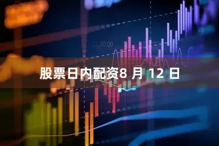 股票日内配资　　8 月 12 日