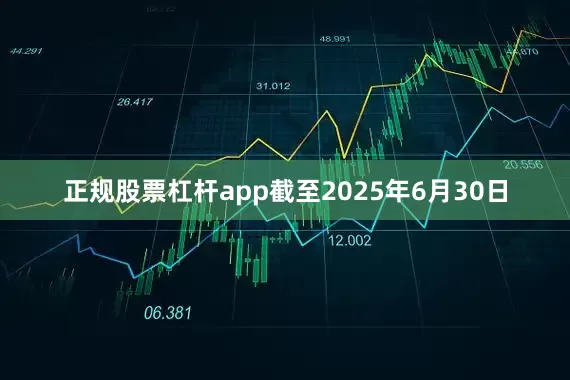 正规股票杠杆app截至2025年6月30日